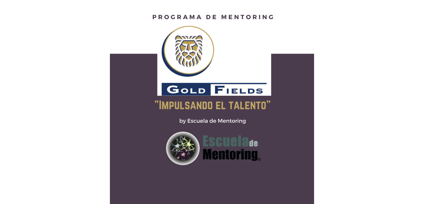 Una Experiencia Real De Implantacion Del Mentoring En Una Organizacion Escuela De Mentoring Gen Consulting Desarrollo De Proyectos